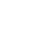 Project-icon01